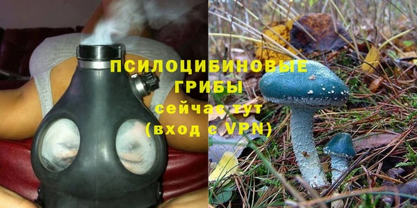 PSILOCYBIN Горно-Алтайск