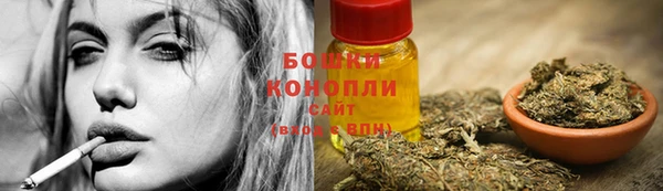PSILOCYBIN Горно-Алтайск