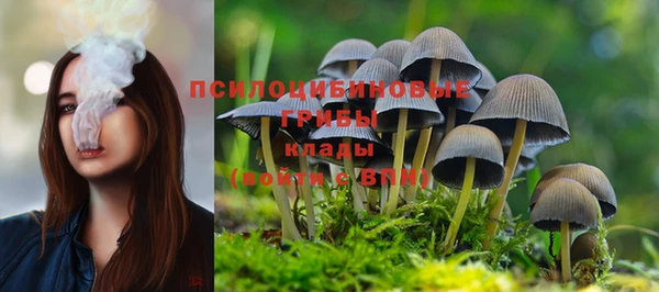 не бодяженный Горнозаводск